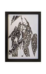 Load image into Gallery viewer, Monochrome Plant Art Print - Begonia Maculata
