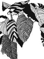Load image into Gallery viewer, Monochrome Plant Art Print - Calathea Musaica
